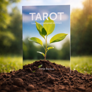 Boek TAROT - Leer (leg)patronen kennen inclusief de Rider Waite Original tarotkaarten, incl. verzending binnen Nederland.